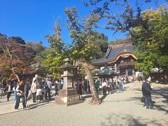 深大寺のお参りも長い列