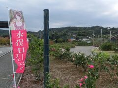 ２日目は帰りの飛行機の時間もあり、あまりあちこち見て回ることはできないのですが、まずはホテルから車で１５分程の場所にある複合施設「エコパーク水俣」の中にあるバラ園に、ここなら朝から開いていて一応バラの咲いている季節なので、行ってみることにしました。