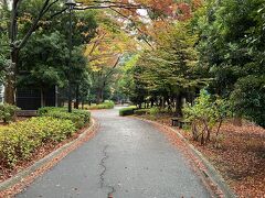 木場公園