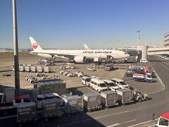 羽田空港に到着。
なんかちょっと疲れたかな。
いろいろあったけど、大阪、また行きたい。