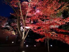 弘前に帰るころには暗くなってしまいました。
弘前公園の紅葉で今日一日の小旅行を締めます。