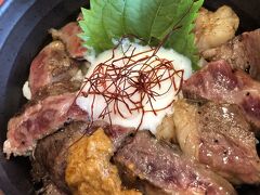 熊本阿蘇の草千里のでドライブインのニュー草千里で昼食。あか牛丼、赤身で美味しいお肉です。