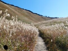 関東近郊でも伊豆や箱根あたりでみられるススキの群落だが、晴れた天気で開放感のある景色はいい。