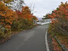 大島の路散策路