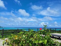 海が見渡せる高台に来ました。