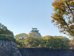 坂を下って大阪城野球場の近くから大阪城が見えました。