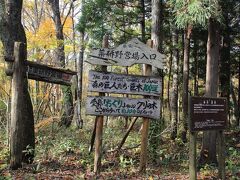 薬研公共駐車場に車を停めて、薬研渓流の遊歩道に入ります。

この看板から少し奥薬研方面に進んだところにロッジ風の公共トイレがあり、その手前が薬研公共駐車場です。
薬研荘の看板のちょうど道を挟んで向かい側が公共トイレなので、薬研荘の看板を目印にすると判りやすいかも知れません。