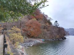 中禅寺湖湖岸と紅葉