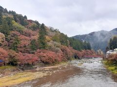 ここも紅葉なら5分どころ、青空ならもっといい写真になりそうなのにね。
でも降っていたせいで人も少ない。