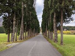 レンタカーだったので行けた当別トラピスト修道院
かなり走りました

北海道ならでは景色です。