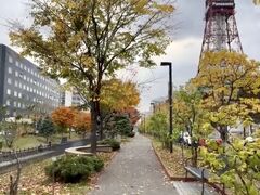 札幌の東と西の境目である創成川沿いの創成川公園を散策しながら二条市場方面に向かいます。