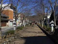 若宮大路