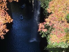 真名井の滝①。御橋側からの写真。日本の滝100選に選定された名瀑。水量が少なかったような気がします。でも綺麗です。