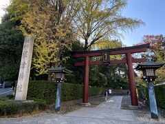 定番ですが、根津神社にやって来ました。