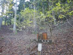 東丹沢県民の森　訪れる人もなく整備も今後望みにくい？