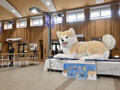 　トラベラーさん達の旅行記で見ていた秋田駅の巨大なオブジェ

　ふわふわの見た目から何の疑いもなく、ぬいぐるみだと思ってたの
　この日、初めてバルーンだと知り
　えぇぇぇ！！！まじですか！ほんまに？　

　おまいさん、ぬいぐるみじゃなかったのか！