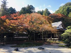 福岡市の隣り、糸島市雷山に鎮座する、雷山千如寺に来ました。

今回デジカメの調子が悪く、古いiPhoneでの撮影となりましたことを、お詫びします。
