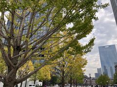 いざ、散歩スタート！
東京駅舎から伸びる行幸通り。イチョウの葉が黄色く色づいています。