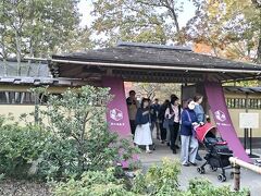 国営昭和記念公園日本庭園