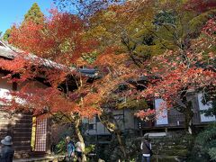 金剛輪寺は距離が長いので、ラテ君は車で待ちます。
庭園の紅葉です。