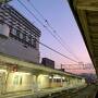 飛行機とホテルが安く予約できたので、ほぼ目的を決めず週末札幌旅【前編】本格的な冬シーズン到来前に札幌・小樽・余市のイルミネーション観て来た