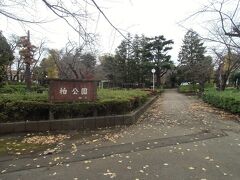 柏市役所の東側にある柏公園。

