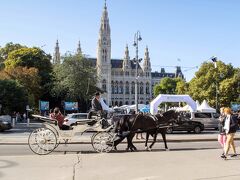 「ウィーン市庁舎」1883年完成
フリードリヒ・フォン・シュミット設計　”ネオ・ゴシック建築”

ブリュッセル市庁舎など尖塔のある、フランドル地方の市庁舎を手本にしています。