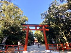 表参道はまだ全く紅葉していませんでした

御手洗で清めて二の鳥居をくぐります

紅葉してないので人は少なくて良い