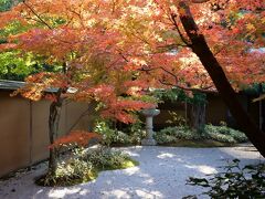 10:30 一条恵観山荘

今回一番の目的地
今日はすっごく混んでる...
そして紅葉はかなり進んでる！