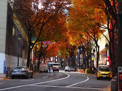 スタートは道玄坂の紅葉から。

朝早めの時間なので人の姿はまばら。