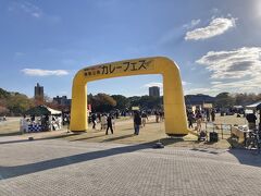 昼から福岡城跡がある舞鶴公園に行ってみました。

カレーフェスなるものが開催されていました。
