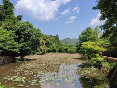 竹林の小径からトロッコ嵐山駅を通り過ぎて小倉池へ。