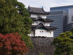 秋の皇居を象徴するような旧江戸城の富士見櫓と近代建築と紅葉です。