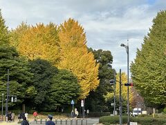 北の丸公園の紅葉。
一旦乾門より皇居を出て、徒歩５分にある皇居・東御苑（予約不要・入場無料）に向かう。