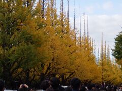 明治神宮外苑いちょう祭り