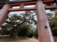 奈良は広いのでとにかく歩きます。
興福寺から春日大社へ。
本殿までは２０分は見ておく必要があります。

こちらは春日大社一ノ鳥居。