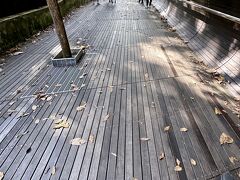 【友人の家の近所を朝散歩】

さて、我々のついた先は...

「ラブラドールパーク駅（Labrador Park）」という地下鉄駅が一番近いらしいが、我々は海辺に築かれた桟橋の様な場所をトコトコ歩きながら...