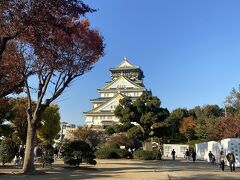 大阪城を近くで見るのは初めて。
感動して歩こうとしたら、プチギックリ腰に！
数年に一回はギックリ腰になるのですが、完全に油断していました。

お城の上に行こうかと思っていましたが、もちろん断念します。
