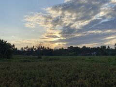 本日最終日。
体調も回復して来たので、早朝の散歩に向かいます。