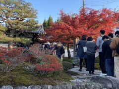 圓光寺も圓光寺で…
行列になってる(汗)

「昨年とかここまでじゃなかったですよね？」
とお寺のかたに尋ねると、どうやら某新聞に掲載されたようで…

そりゃ混むわな。