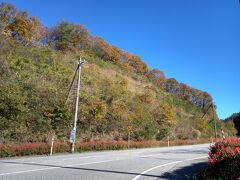 「道の駅桜峠」前のサルビアロードと紅葉です。