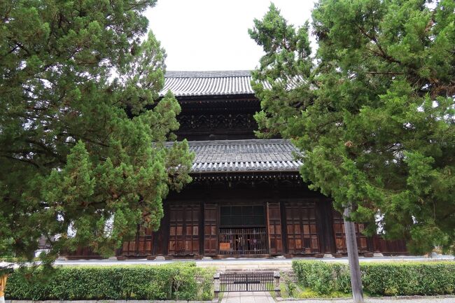 祇園に近いにも関わらず広い境内で、南北300m程あります。三門から見た法堂が良い景色でした