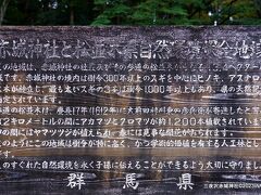 赤城神社と松並木県自然環境保全地　赤城神社参道松並木とツツジ群

ここに決定する
