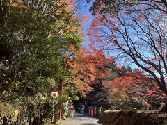 とりのこさんじょうじんじゃと読みます。最後の方と帰り道は道が狭いので記をつけてくださいね。道が狭いので絶対では無いようですが茨城から入って栃木に出る道の一方通行での通行をする事になっています。いい感じの紅葉、紅葉まつり開催中