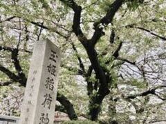 素敵な名前のお稲荷さん。
鳥居と葉桜がベストマッチ。
初夏を思わせる涼やかな美しさでした。
