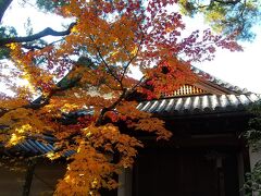 霊雲院。

非公開のところがほとんど。