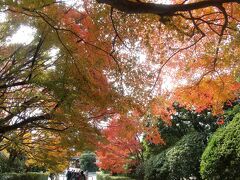 龍安寺