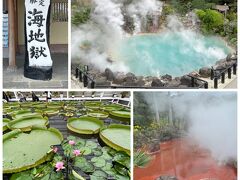 次は海地獄へ。本当に海のようです。大蓮や血の池地獄のようなのもありました。