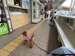 レンタカーで北上中。
道の駅「許田」で小休憩です。