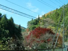 檜原村の中心地・本宿で大半の人はおりてしまい、さらに残った１０人ほどのハイカーも「神戸岩」というところで降りてしまって、乗客は私１人になりました。
山の中のくねくねした道路にバス停は数軒の民家のあるところにありました。